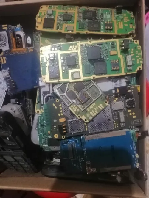 Nokia 3100