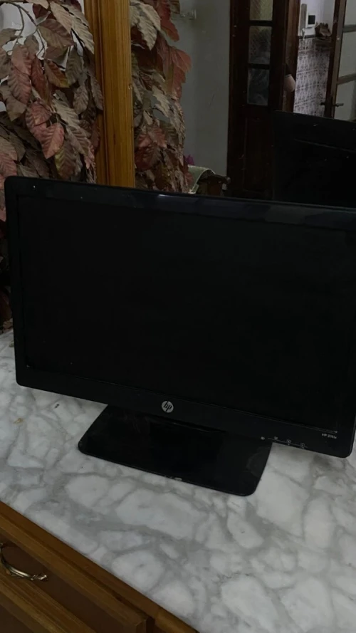 Moniteur hp 20 pouce