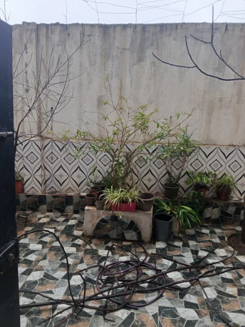 Location Appartement F3 Tipaza Bou ismail