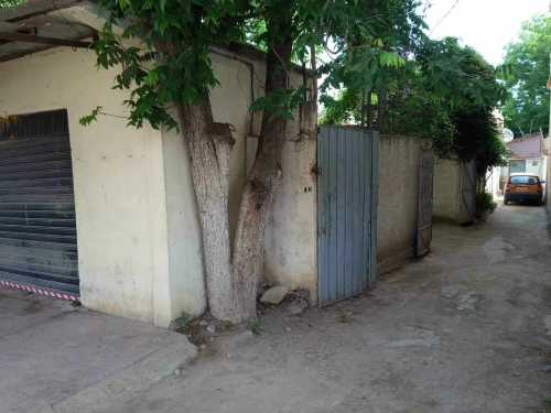 Vente Terrain Blida Boufarik