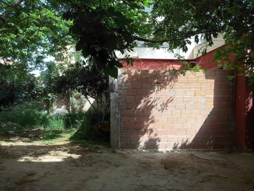 Vente Terrain Blida Boufarik