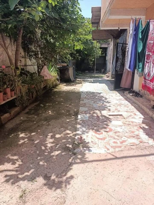 Vente Terrain Blida Beni tamou