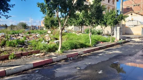 Vente Terrain Alger Dar el beida