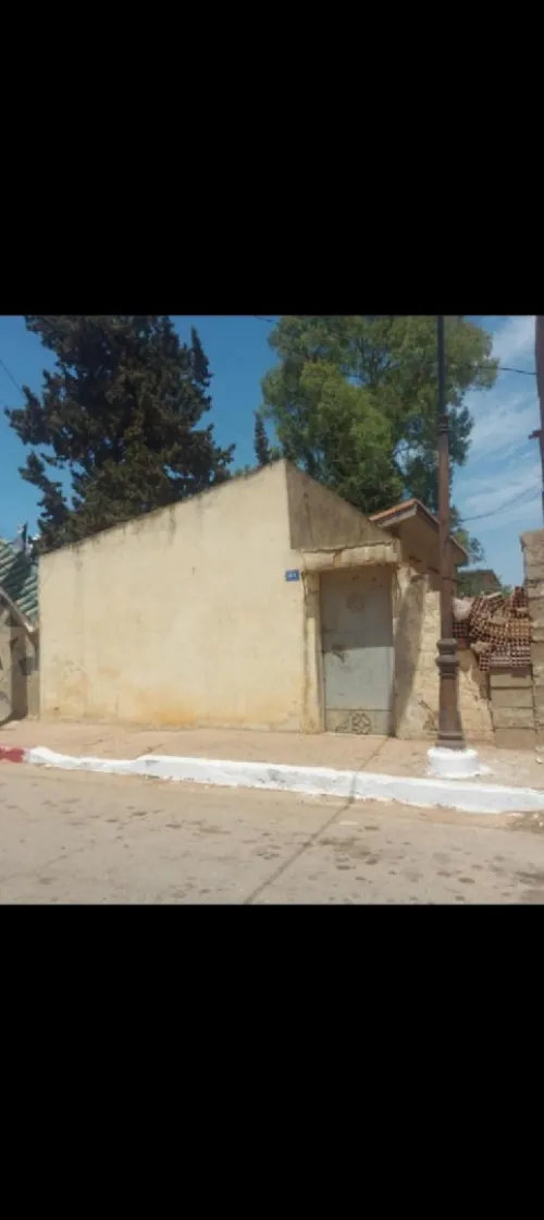 Vente Terrain Mostaganem Sidi ali