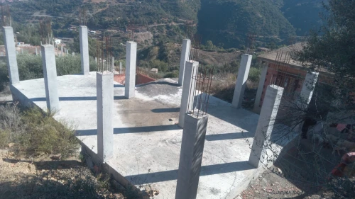 Vente Terrain Agricole Blida Bouarfa