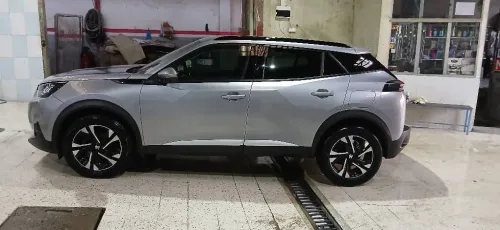 Peugeot 2008 2021 Erg