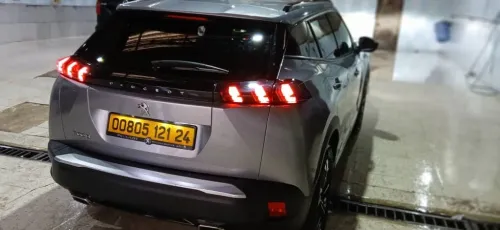 Peugeot 2008 2021 Erg