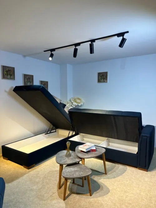 Salon Véga déco 