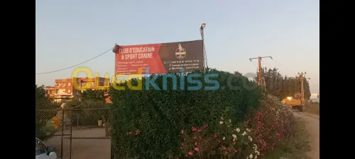 Club dressage de chiens نادي تدريب الكلاب