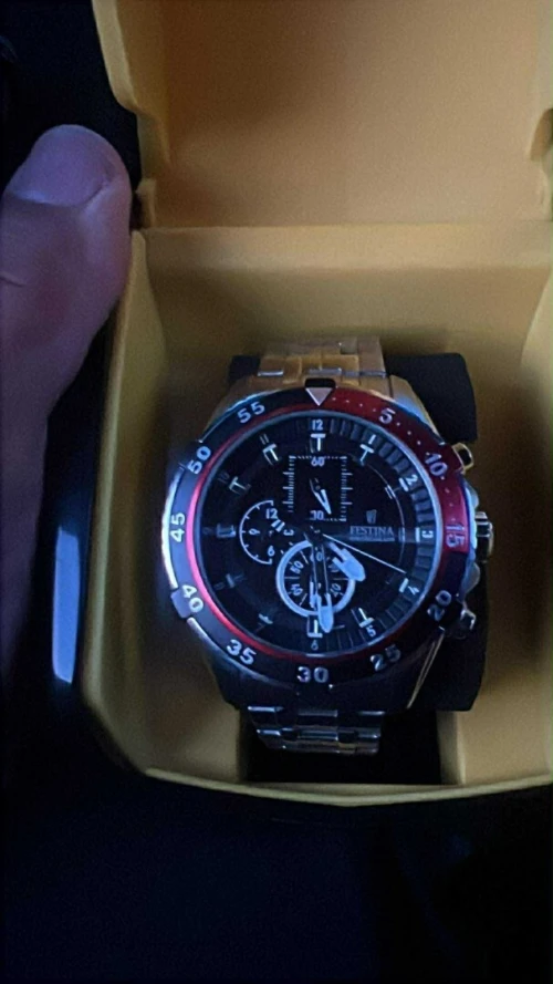 Watch festina