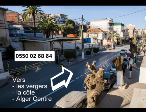 Vente Villa Alger Birkhadem