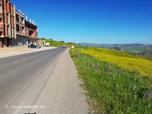 Vente Terrain Sétif Bougaa