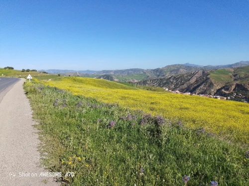 Vente Terrain Sétif Bougaa