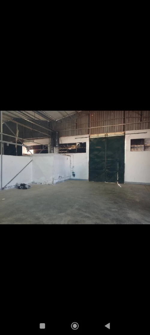 Location Hangar - Usine Tipaza Bou ismail