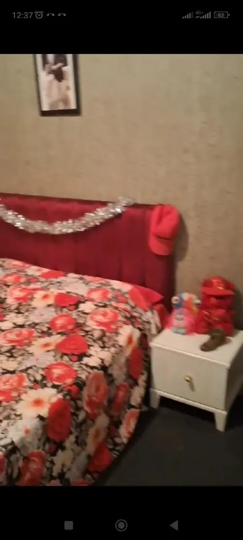 Location Appartement F2 Alger Alger centre