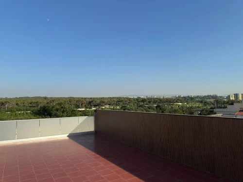 Vente Appartement Duplex F4 Alger Zeralda