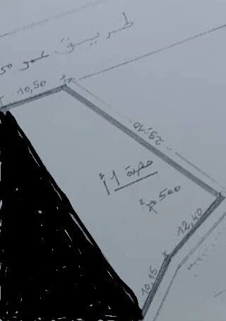 Vente Terrain Alger Bouzareah