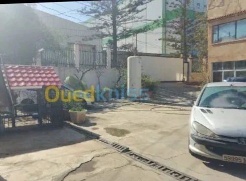 Vente Hangar - Usine Tipaza Bou ismail