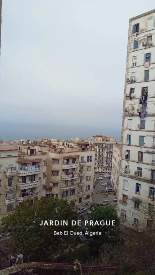 Vente Appartement F2 Alger Bab el oued