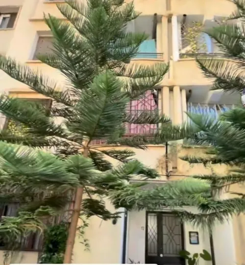 Location Appartement F3 Alger Ouled fayet