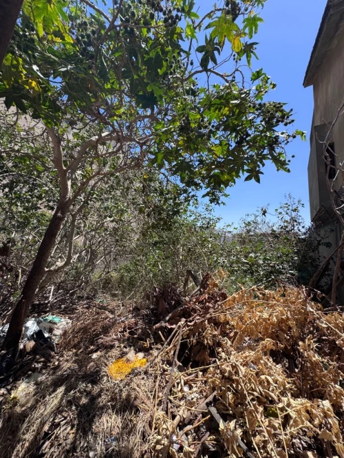 Vente Terrain Alger El achour