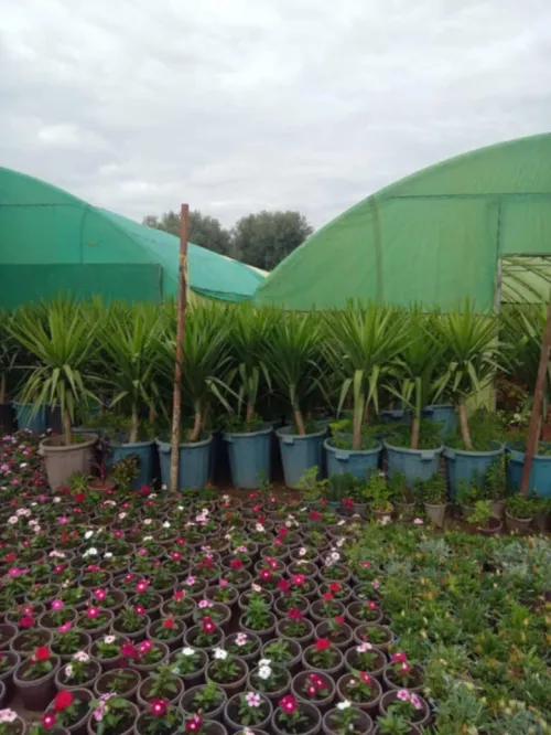 Éco jardin 