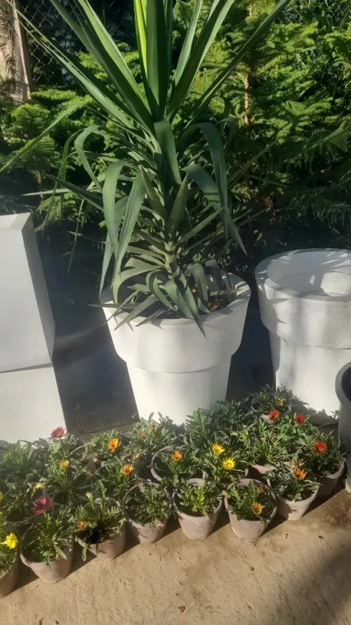 Éco jardin 