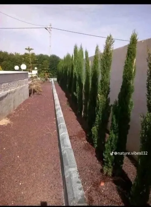 Éco jardin 