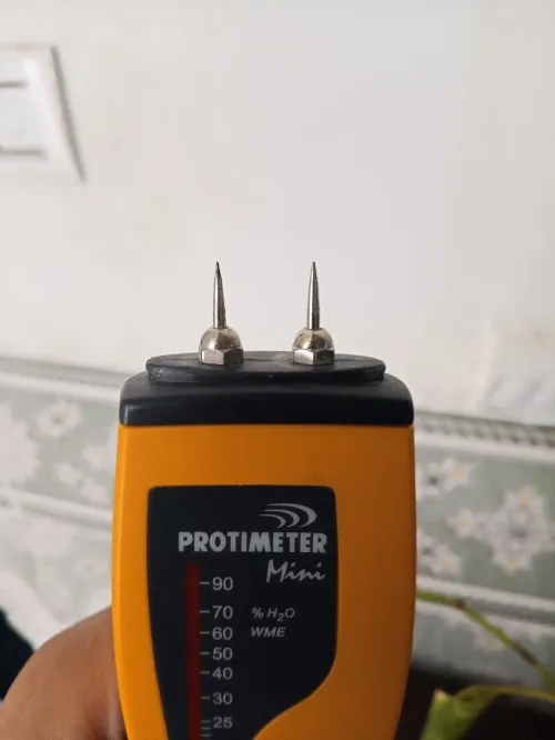 Protimeter