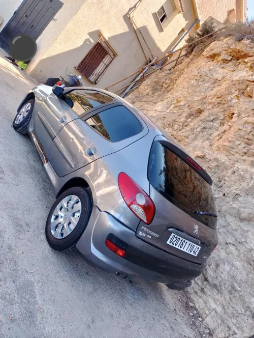 Peugeot 206 Plus 2010 206 Plus