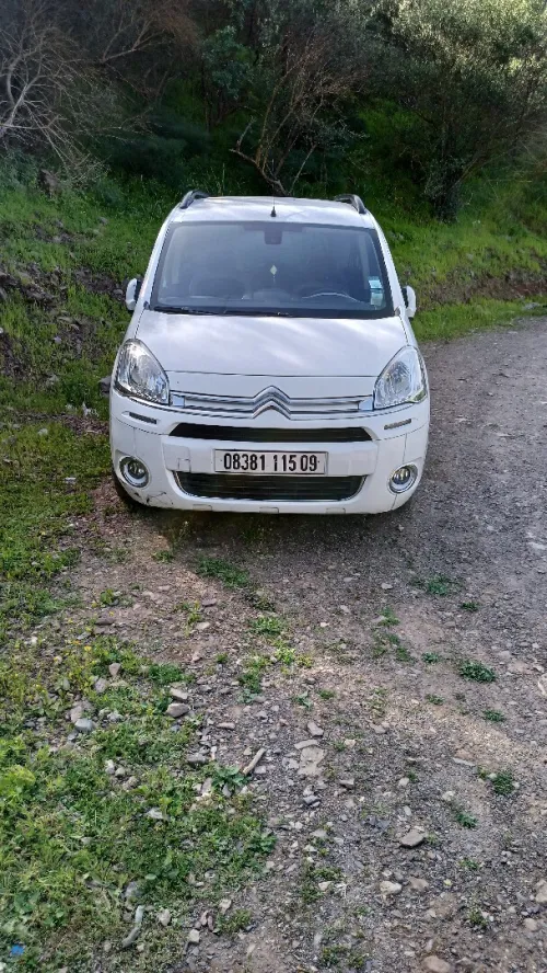 Citroen Berlingo Multispace 2015 Berlingo Multispace