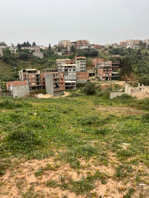 Vente Terrain Alger Bouzareah