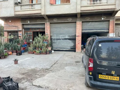 Location Local Blida Bougara