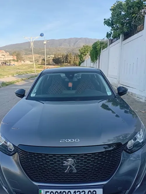 Peugeot 2008 2022 