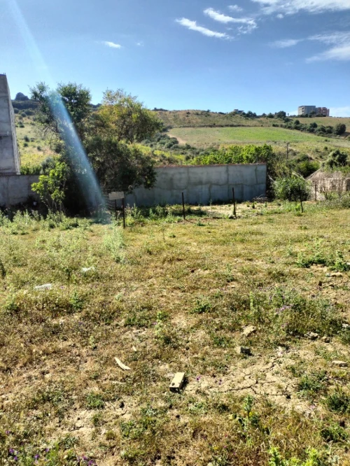 Vente Terrain Boumerdès Zemmouri