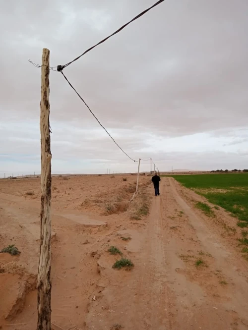 Vente Terrain Agricole M'Sila Zerarka