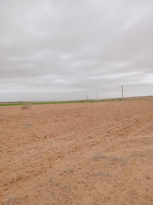 Vente Terrain Agricole M'Sila Zerarka