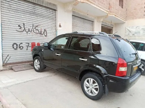 Hyundai Tucson 2010 Tucson