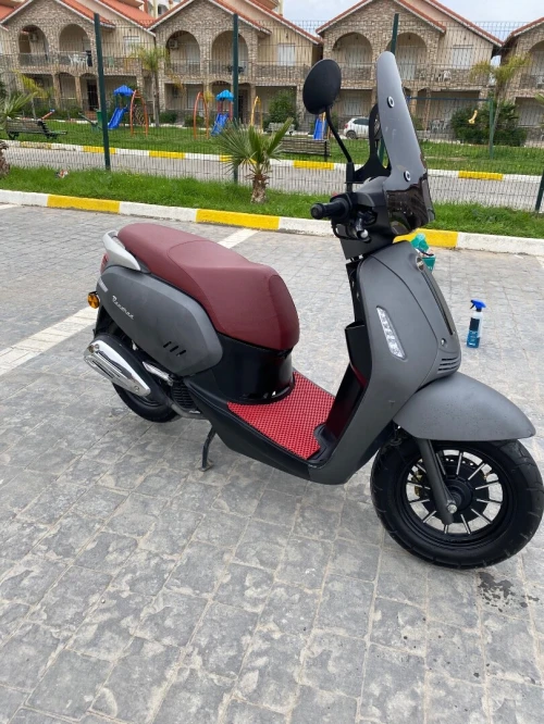 Vms Panaria 2025