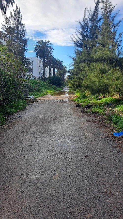 Vente Terrain Alger Bachdjerrah
