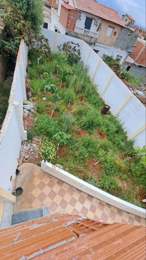 Vente Villa Alger Douera