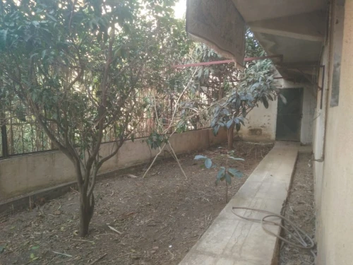 Vente Villa Alger Douera