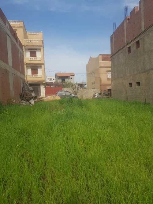 Vente Terrain Boumerdes Ouled moussa