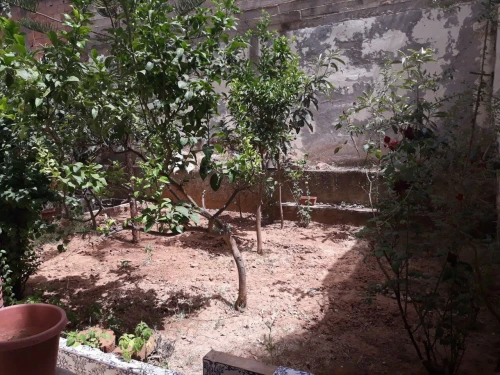 Vente Villa Alger Cheraga