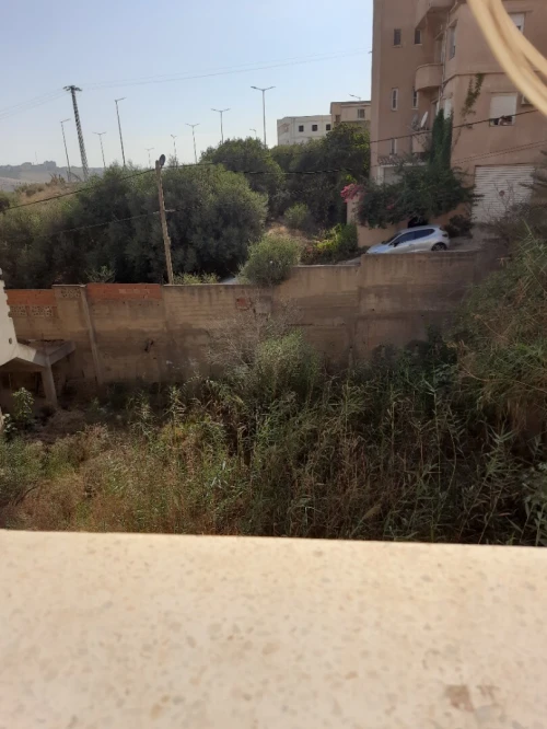 Vente Villa Alger Dely brahim