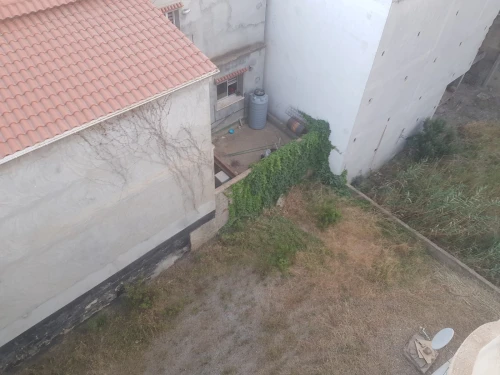 Vente Villa Alger Dely brahim