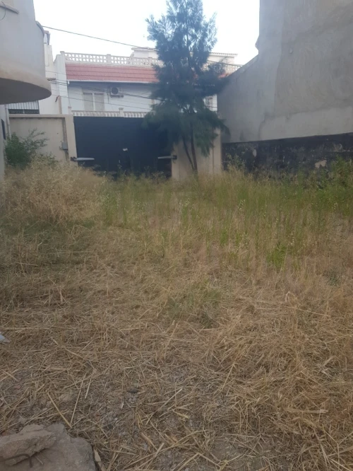 Vente Villa Alger Dely brahim