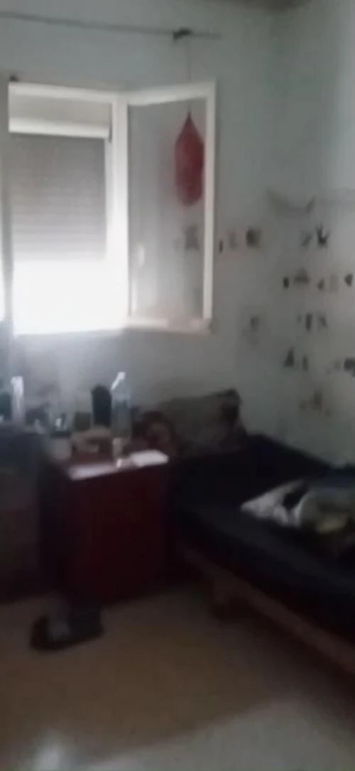 Vente Appartement F3 Alger Dely brahim