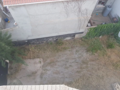 Vente Villa Alger Dely brahim