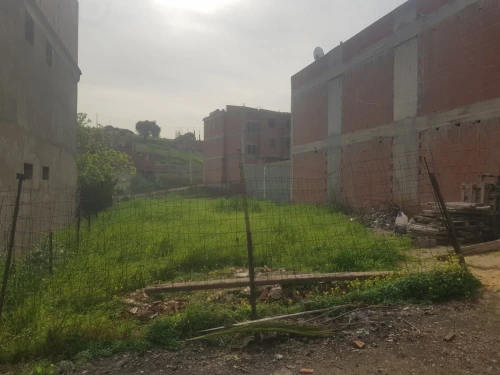 Vente Terrain Boumerdes Ouled moussa